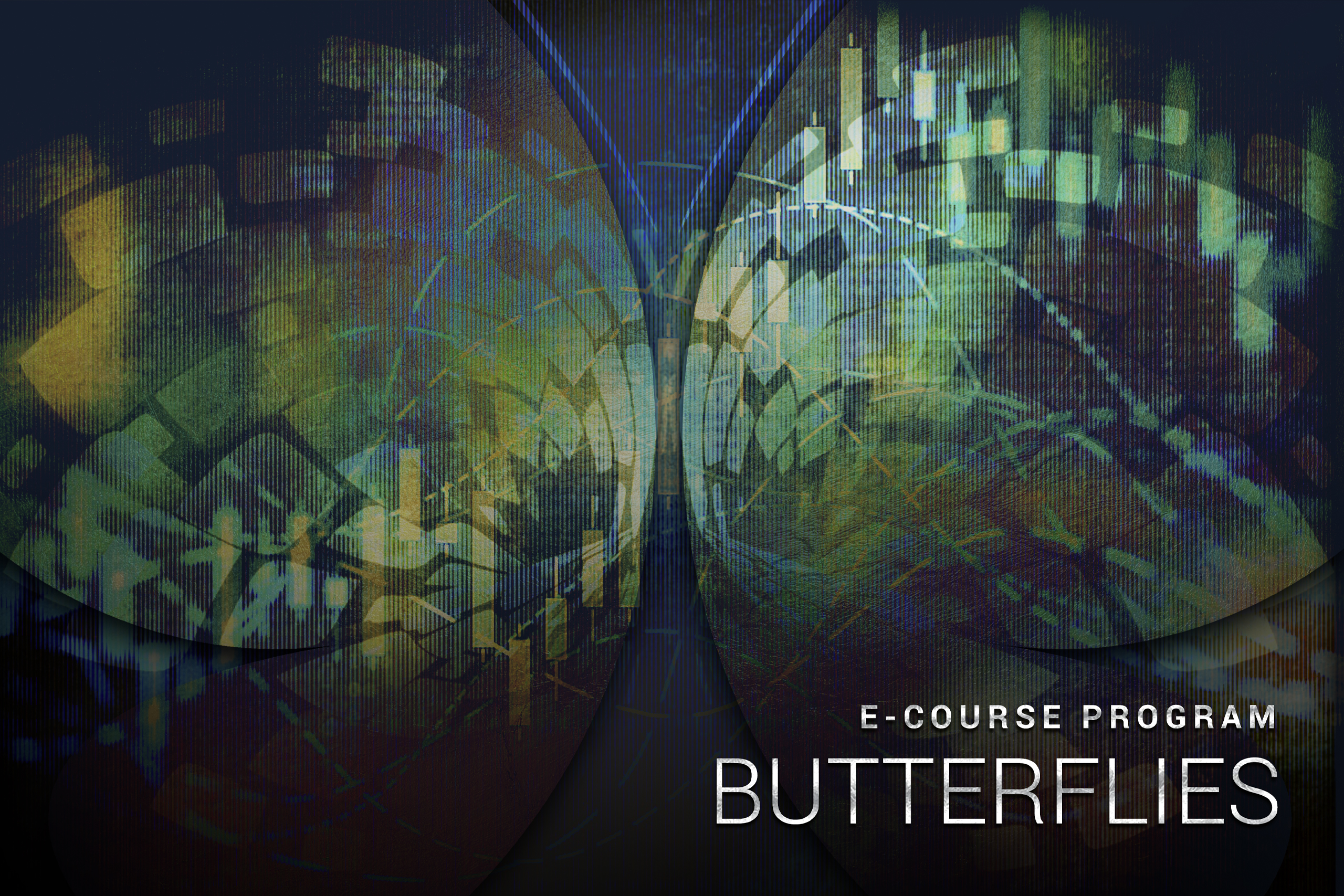 Butterflies2-ProductPg